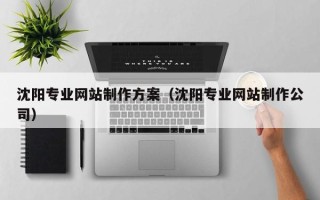 随州沈阳专业网站制作方案（沈阳专业网站制作公司）